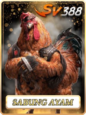 situs sabung ayam live|AYAMJAGO128 .